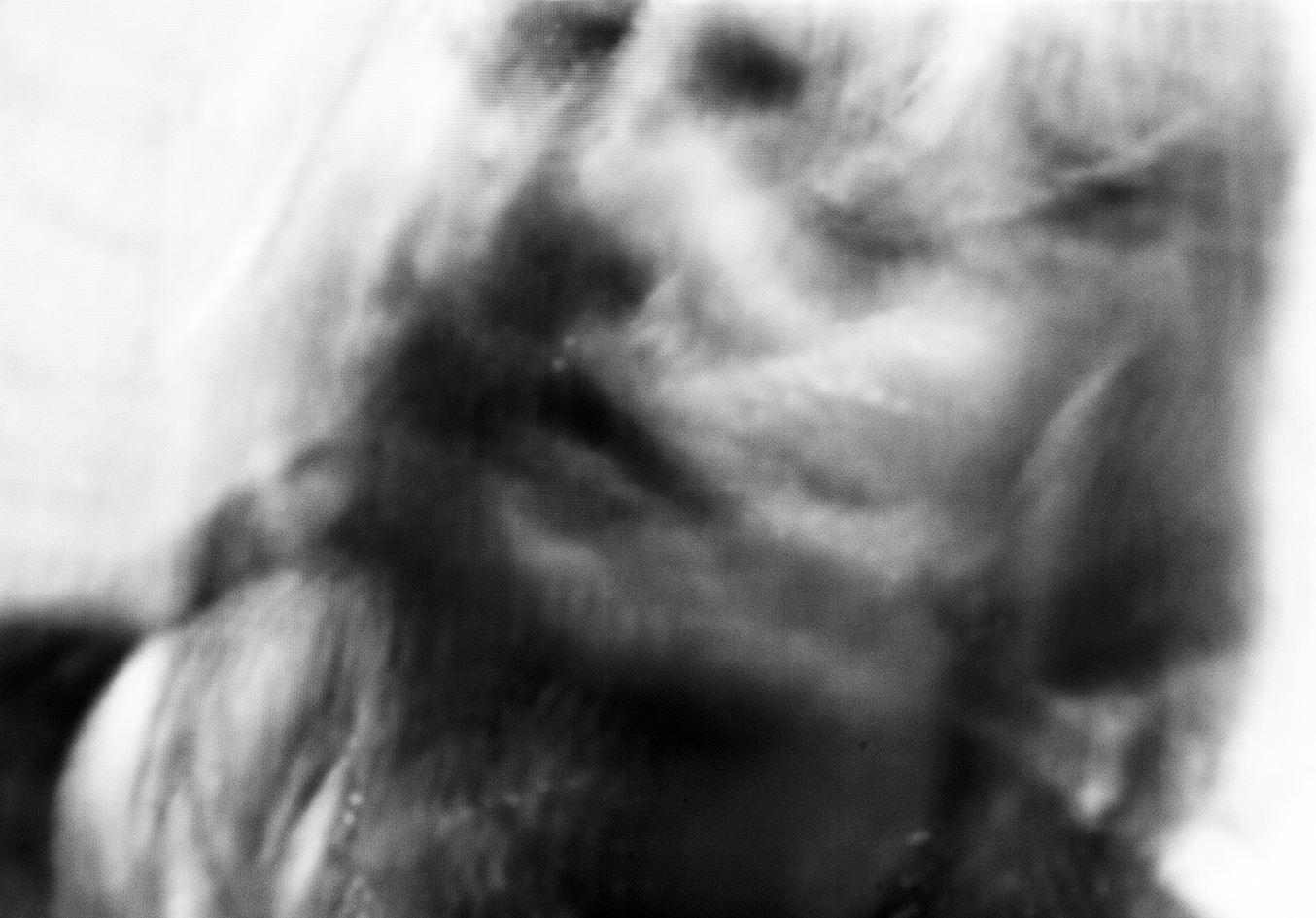 Passione sesso anima gemella chat Sognare uomini prostitut