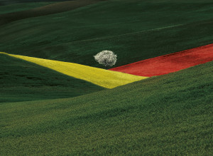 © Franco Fontana